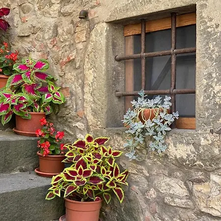 Helga's House- Finestra Sul Borgo 3* Ambra