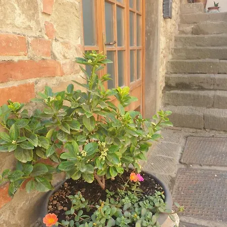 Helga's House- Finestra Sul Borgo 3* Ambra