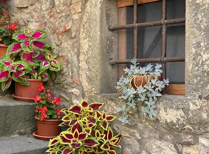 Helga's House- Finestra Sul Borgo 3* Ambra