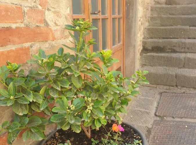 Helga's House- Finestra Sul Borgo 3* Ambra